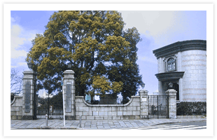 横浜外国人墓地外観,Yokohama Foreign General Cemetery Externals